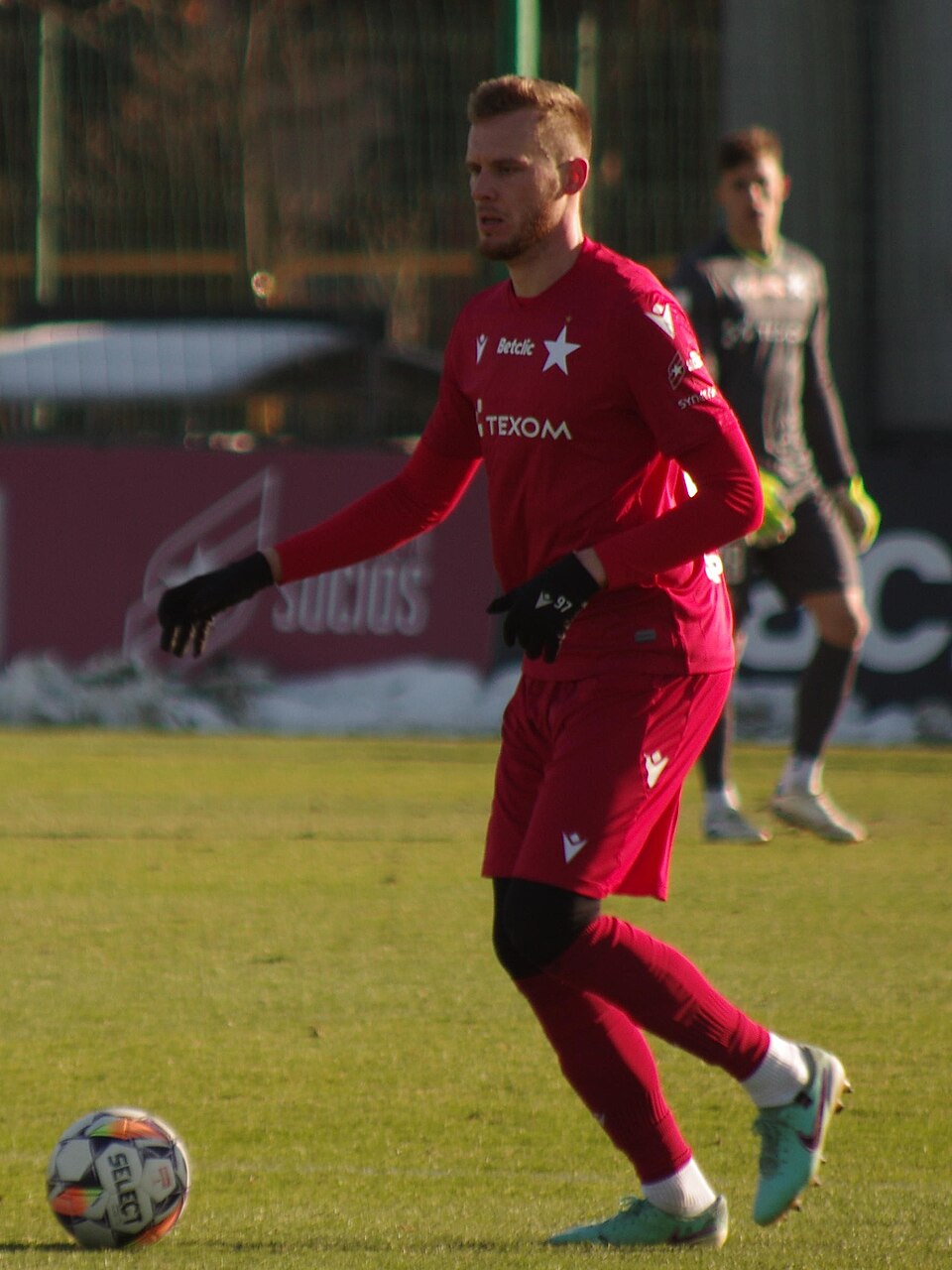 Wiktor Biedrzycki