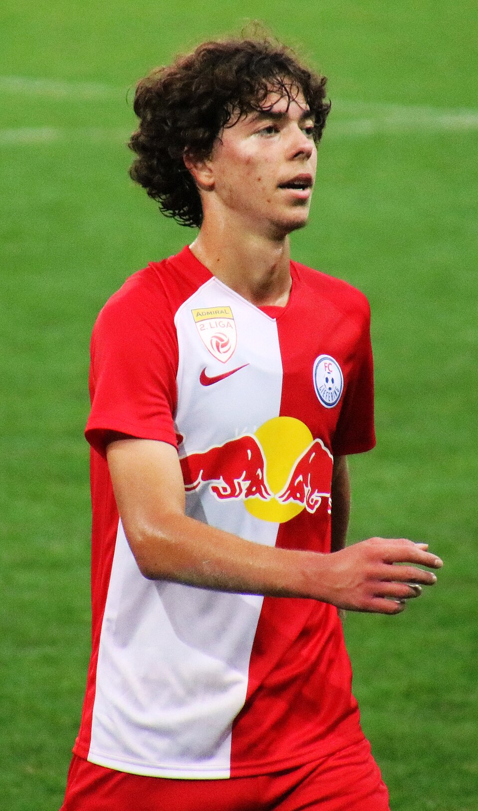 Dijon Kameri